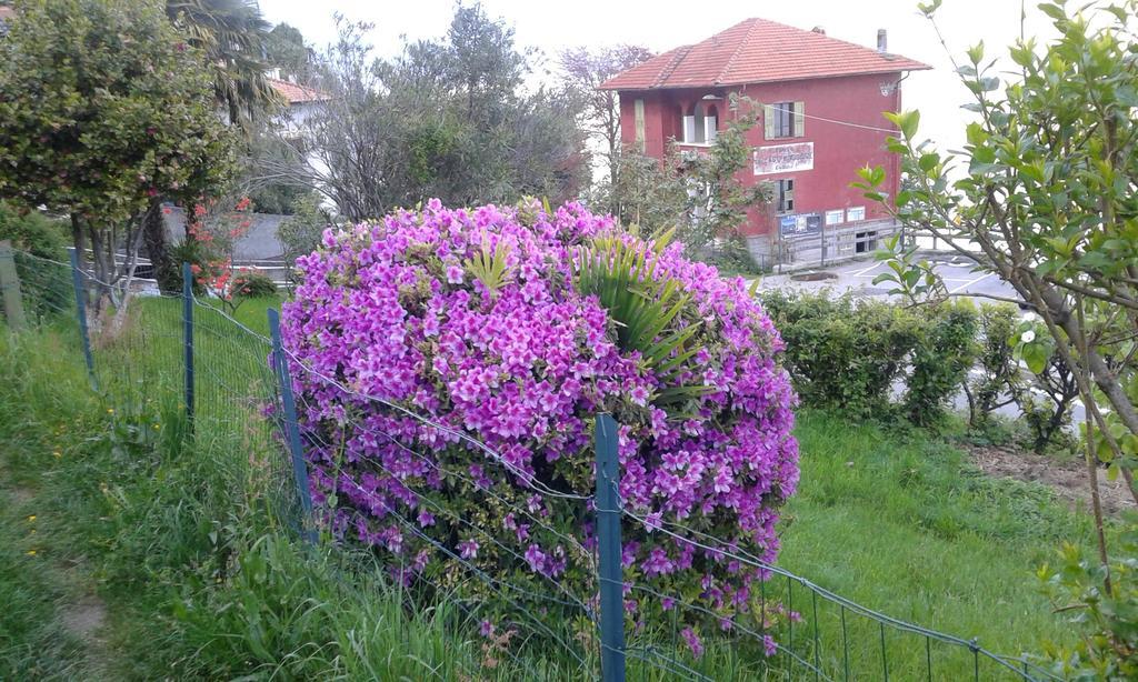 Vanni'S House Cannobio Exterior foto