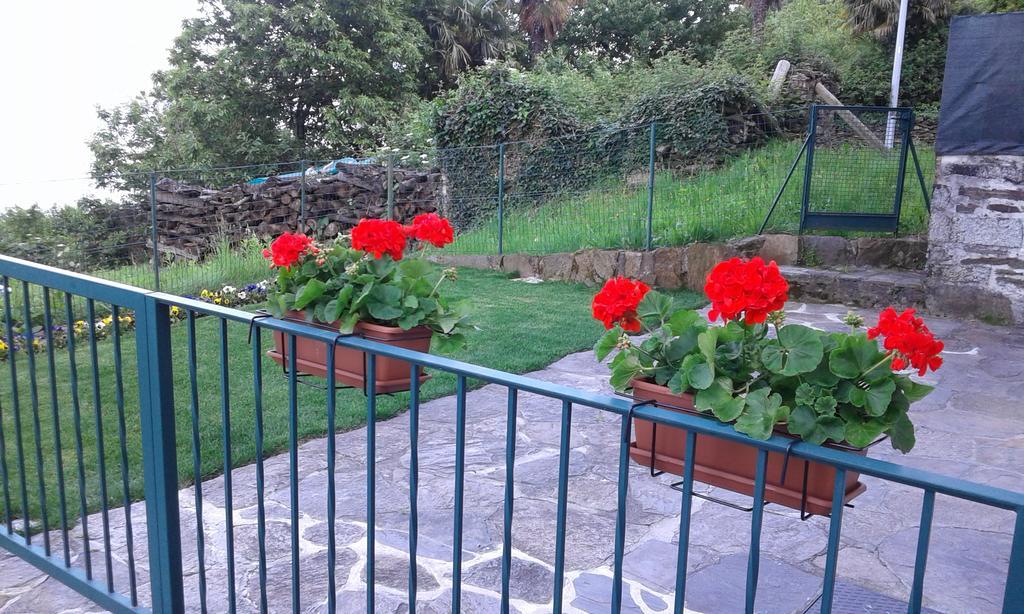 Vanni'S House Cannobio Exterior foto